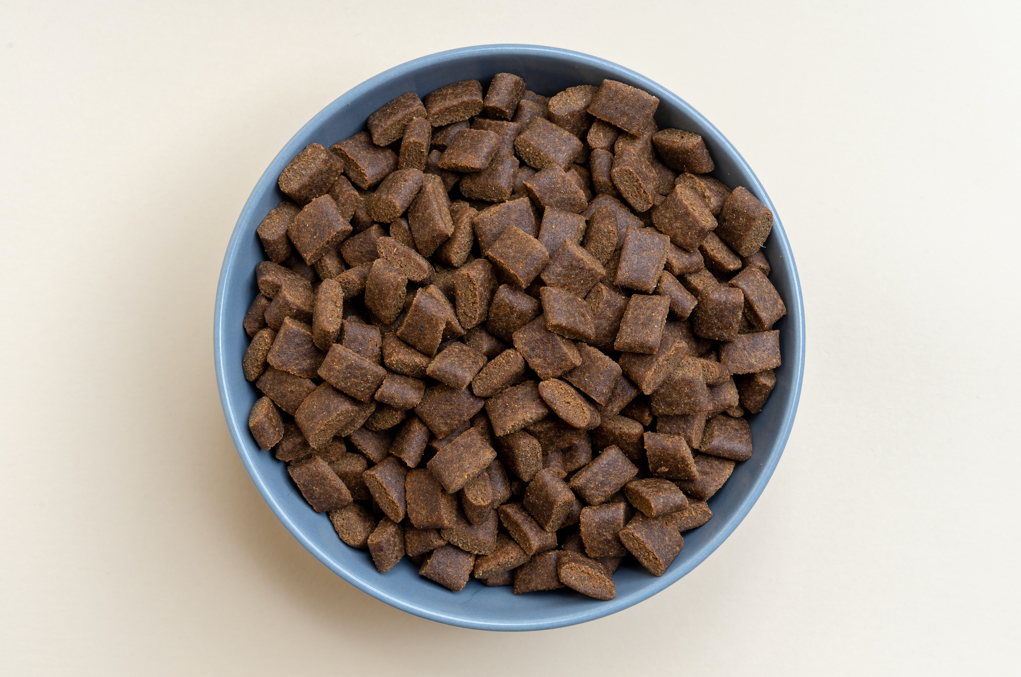 Will Grain-Free Food Hurt Your Dog's Heart?