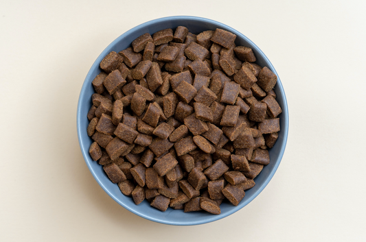 Will Grain-Free Food Hurt Your Dog's Heart?