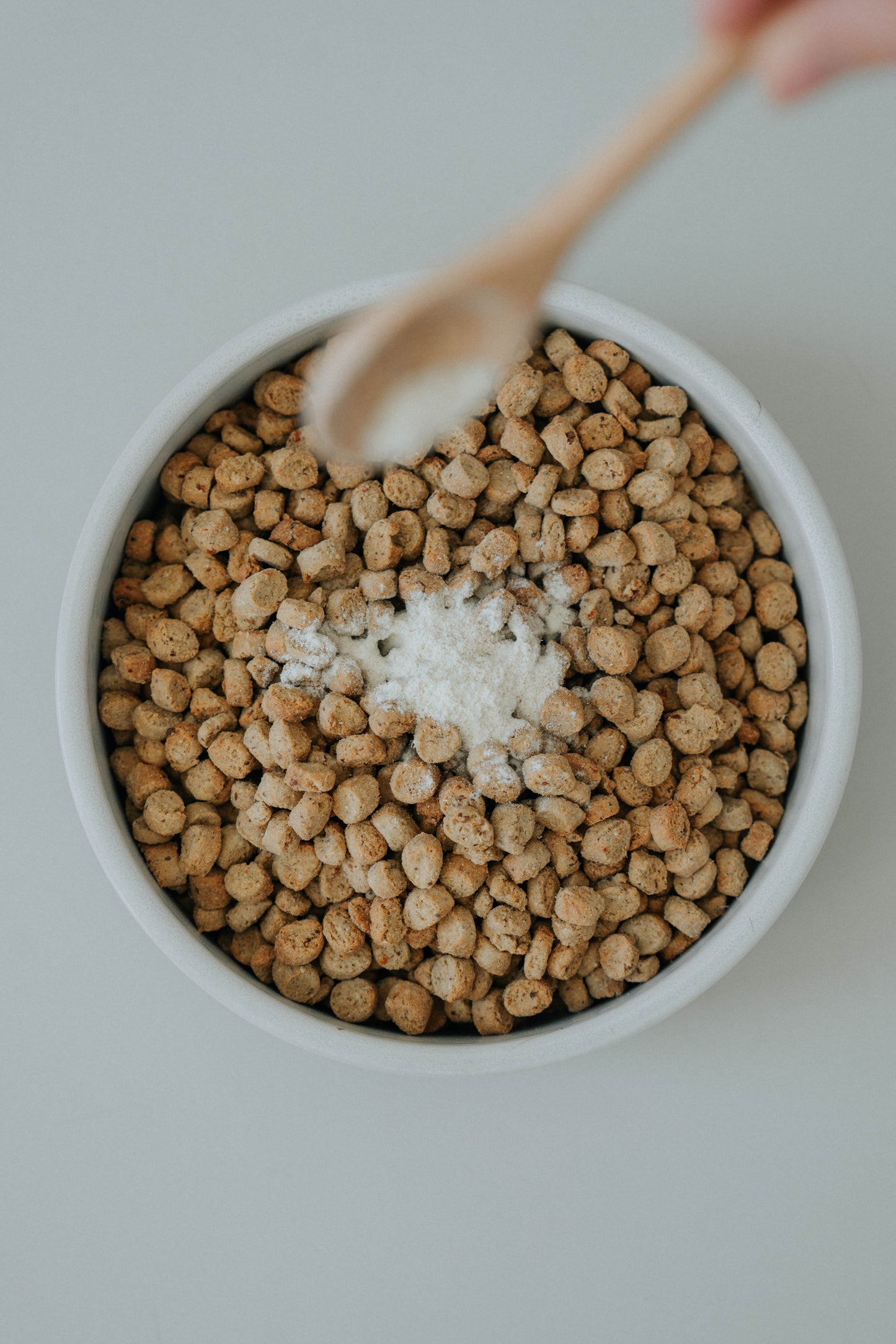 The Complete Gut-Revival Protocol
