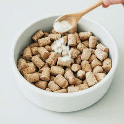 Phase 3 - Bacteria Repopulation