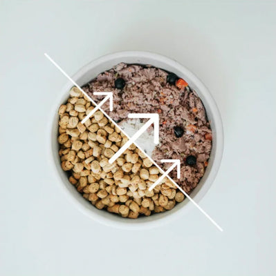 Phase 1 - Food Transition