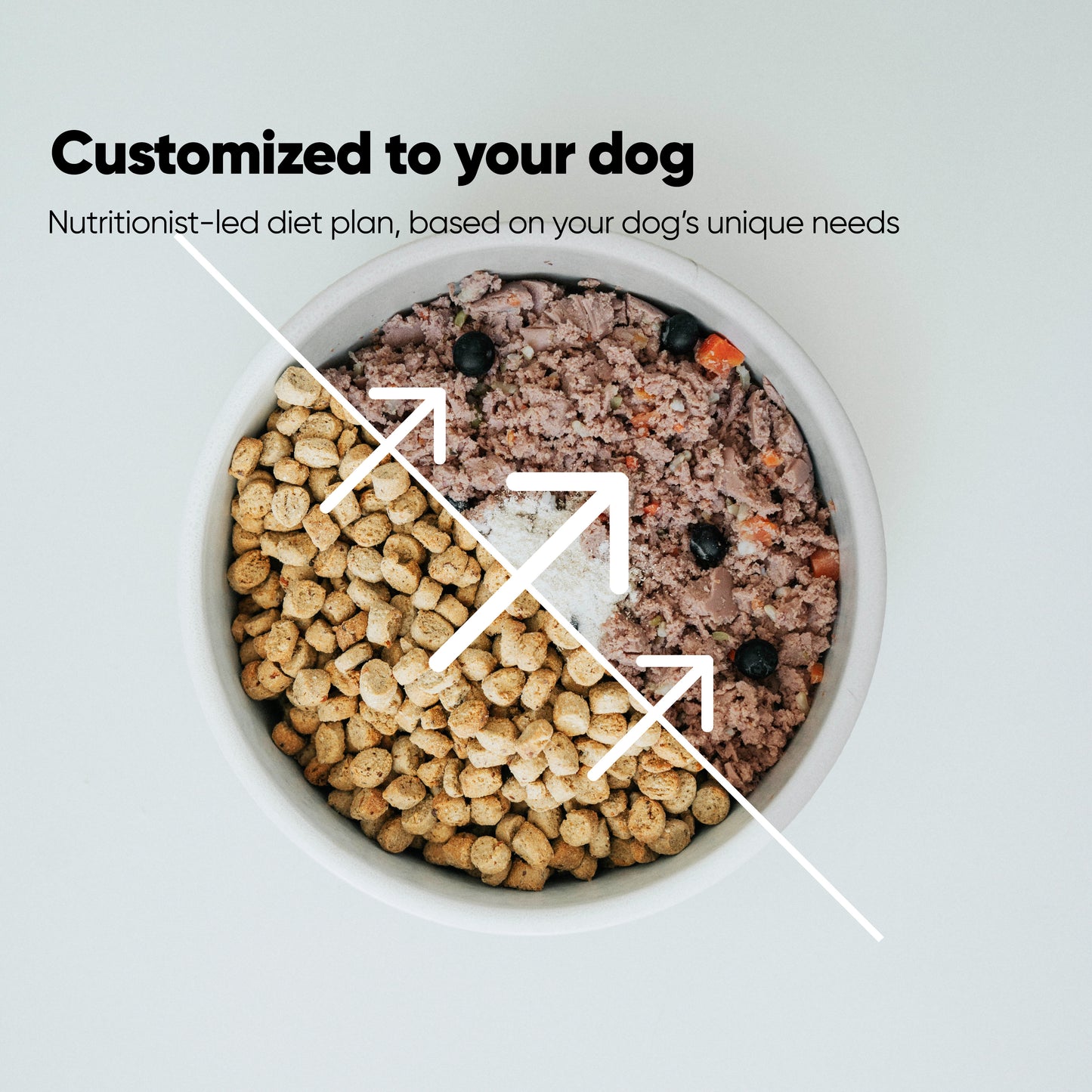 Itch Free in 3 Protocol