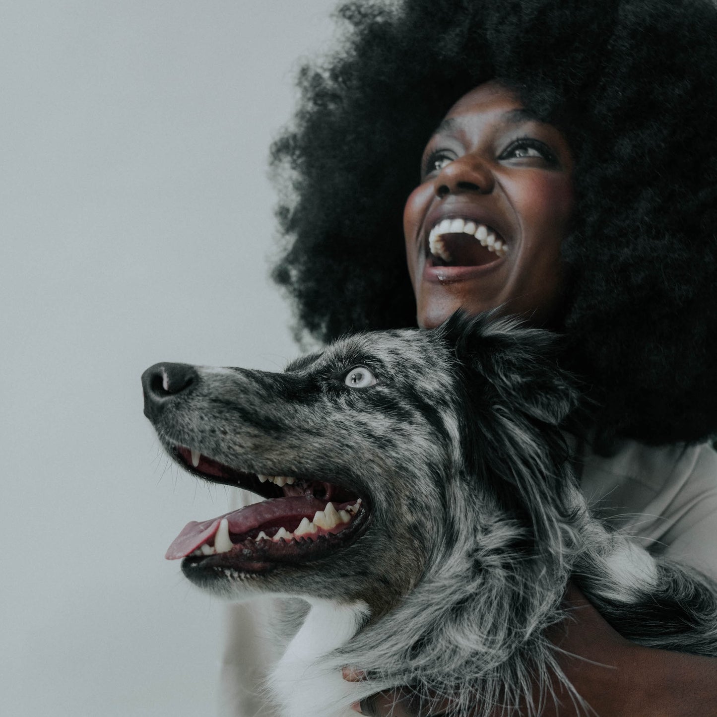 DTS1 Probiotic Powder, Monthly