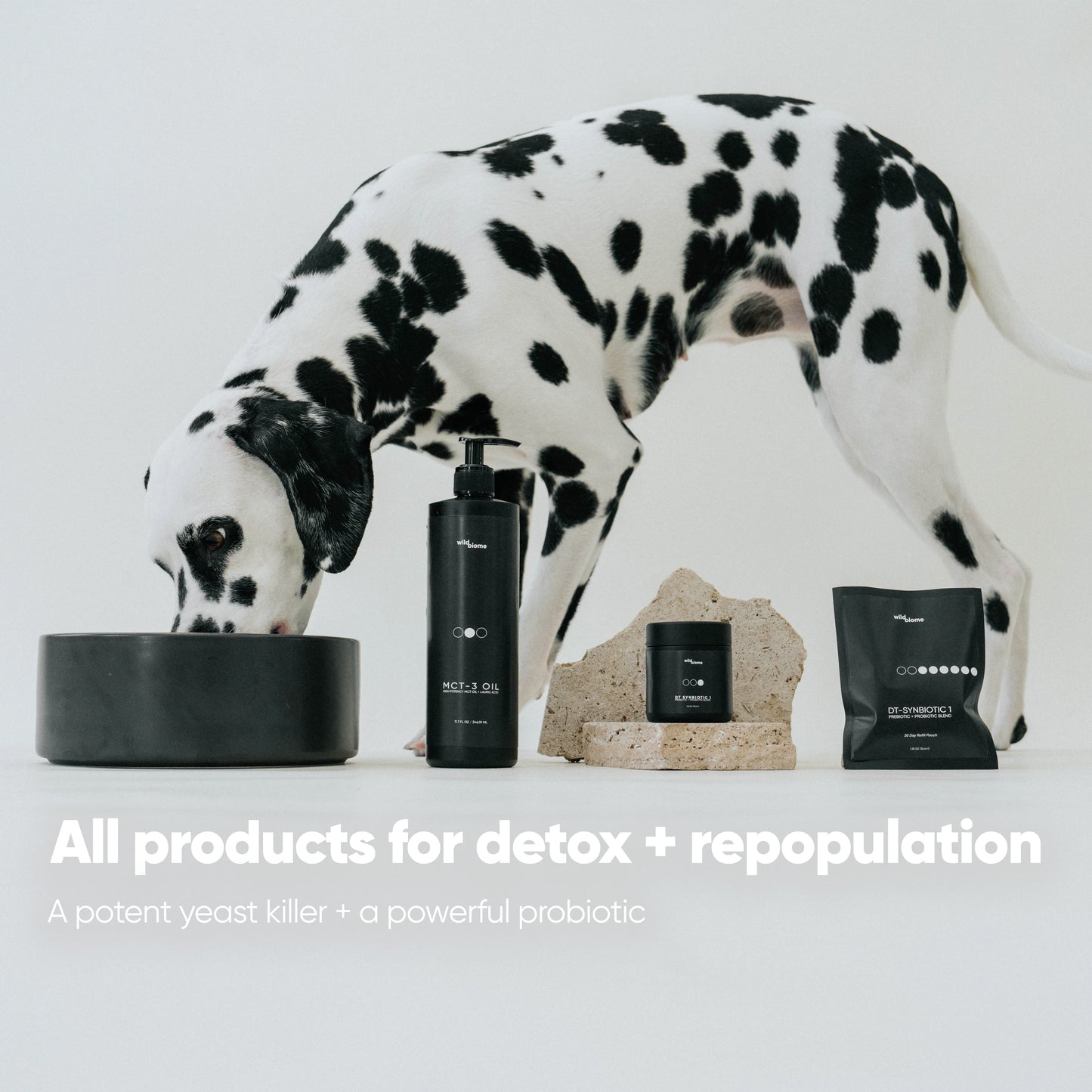 Itch Free in 3 Protocol