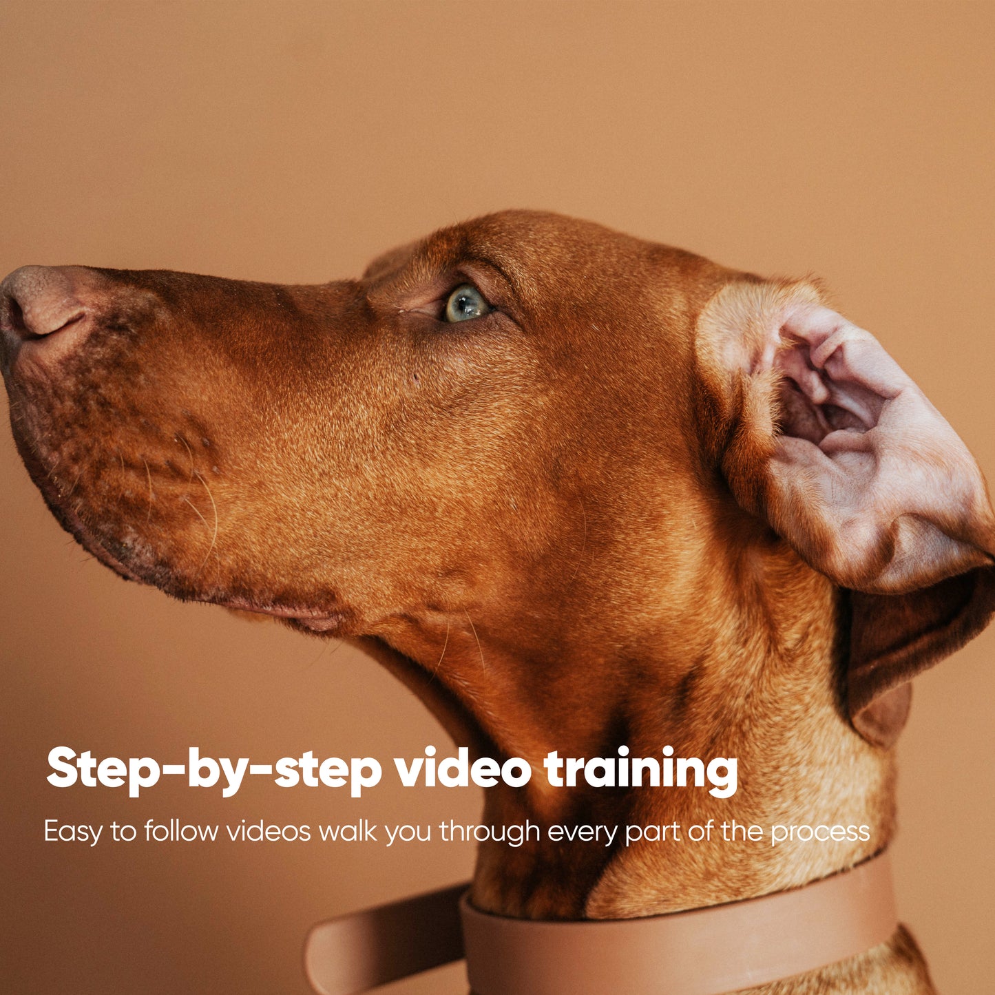 Itch Free in 3 Protocol