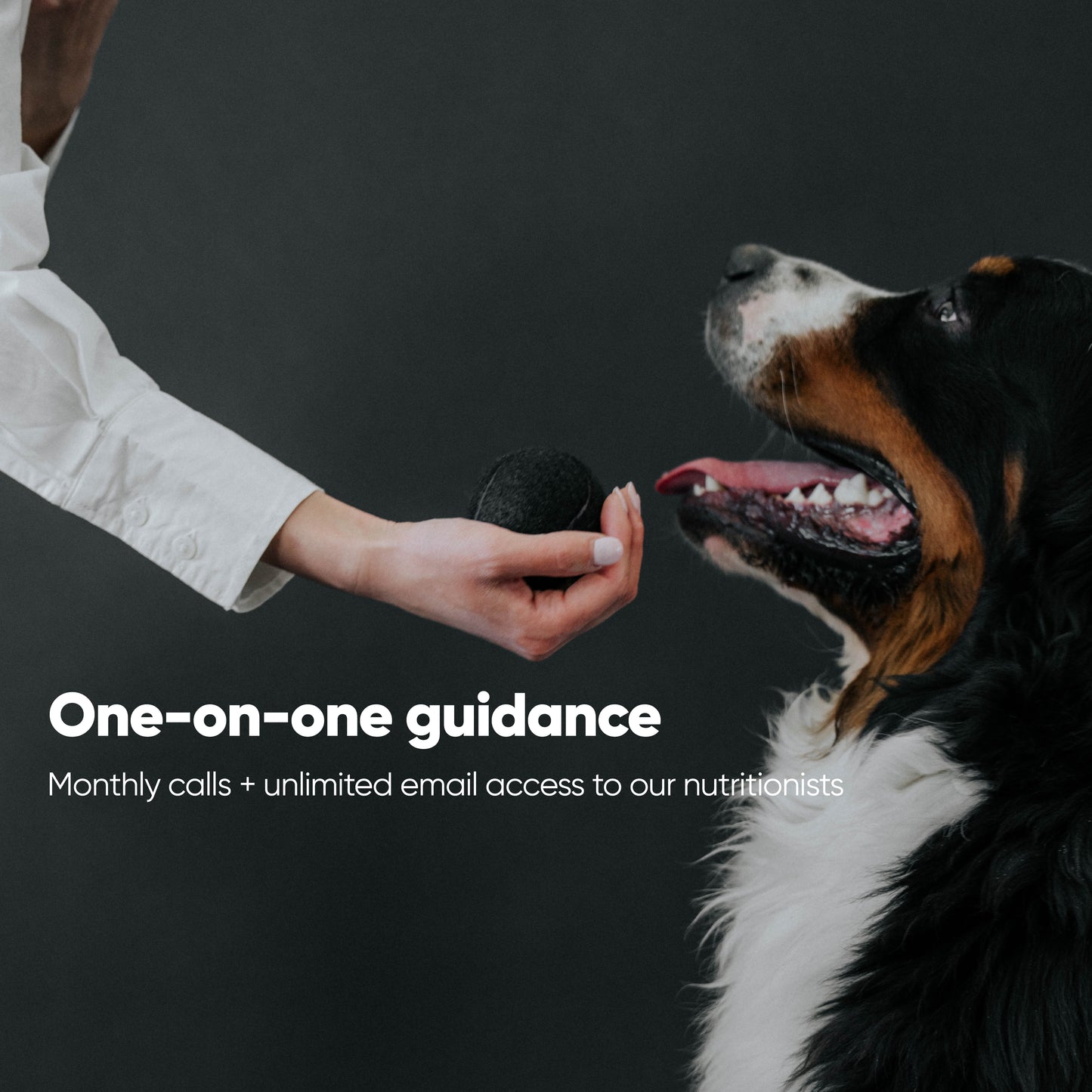 Itch Free in 3 Protocol